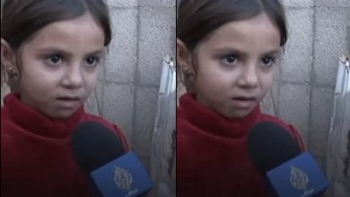 the israeli war on gaza