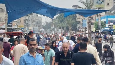 Israeli occupation army