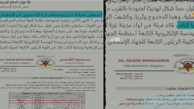 the assassination of Hamza Alduhduh and Mustafa Tharia