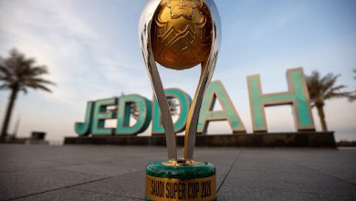 the Saudi government