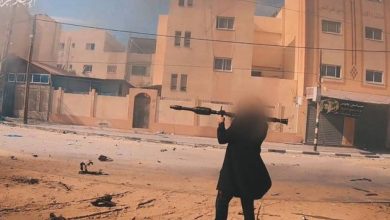 Stylish Resistance Fighter