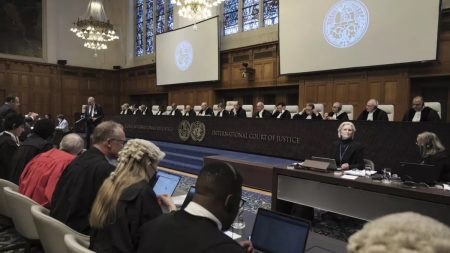 the International Court of Justice