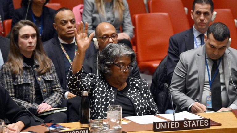 Analysis of UN Security Council Standoff