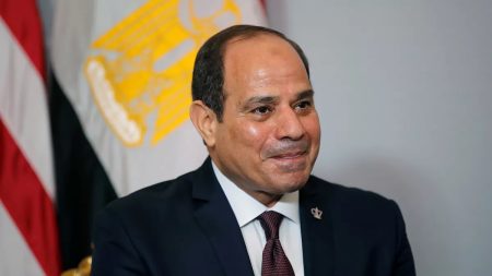 Sisi's Alleged Suez Canal Deal