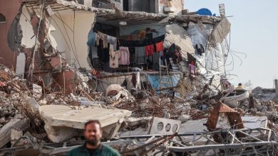 Researcher: Israel’s Border Wall Aims at West Bank Annexation, Not Security