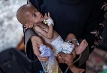 Israel genocide UN report