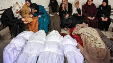 The Palestinian death toll in Gaza has surged to over 330, with most victims being women and children