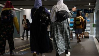 AfD Decries Extremism Label Amid Rising Popularity and Intensified Surveillance