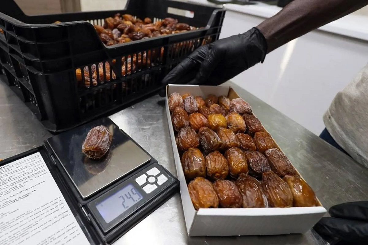 Rich in fiber, antioxidants, and essential minerals, dates are a nutrient-dense snack that supports heart and gut health. Learn why just a few dates can satisfy your sweet tooth