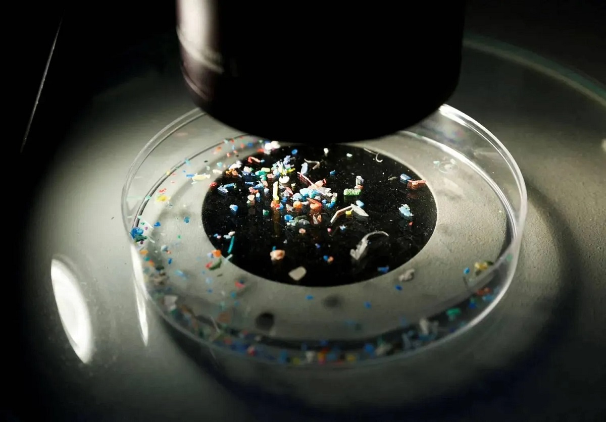 microplastics in the body