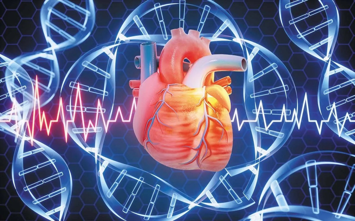 Despite 23andMe’s bankruptcy, at-home genetic testing is booming—but heart-related results remain controversial, with the American Heart Association urging caution.