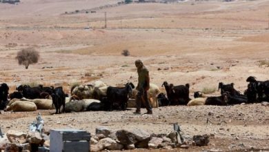 Israeli settler violence