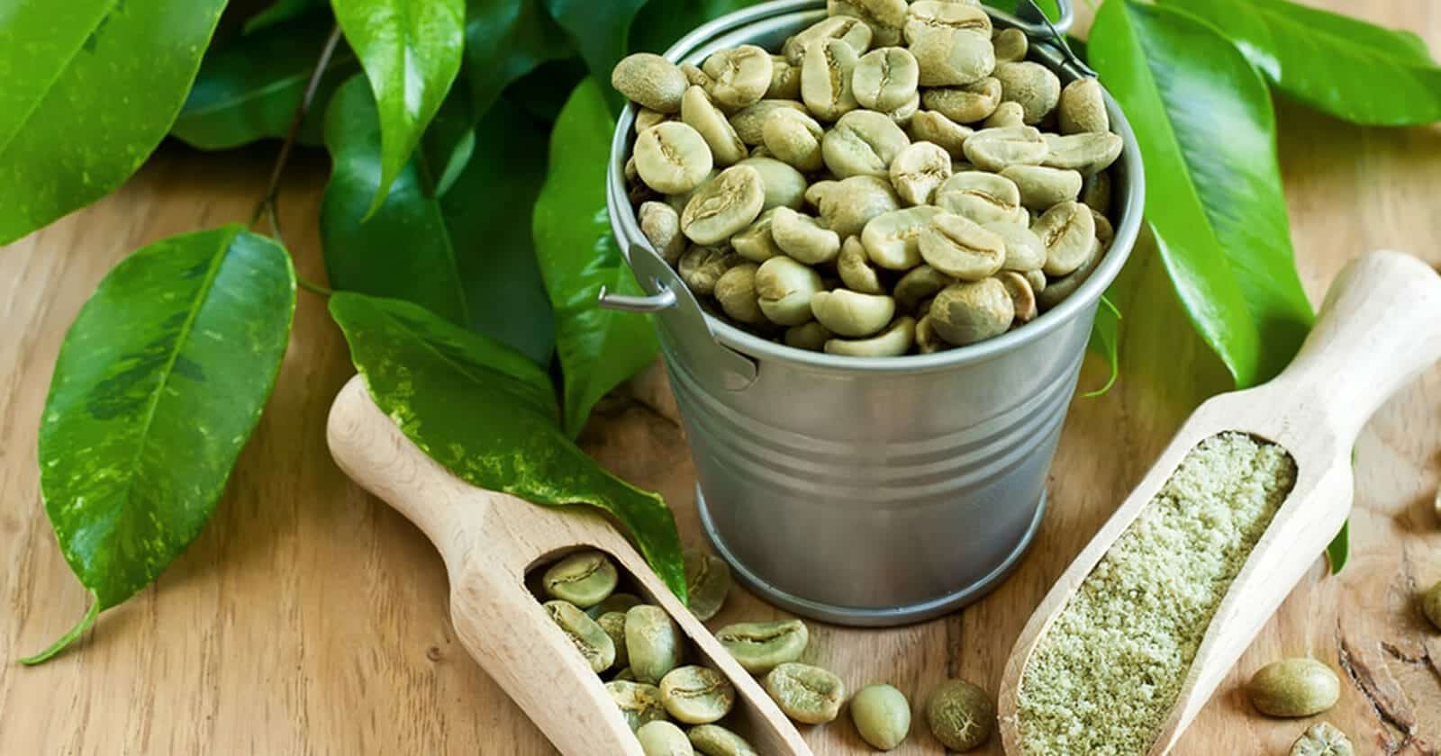 حبوب القهوة الخضراء watanserb.com