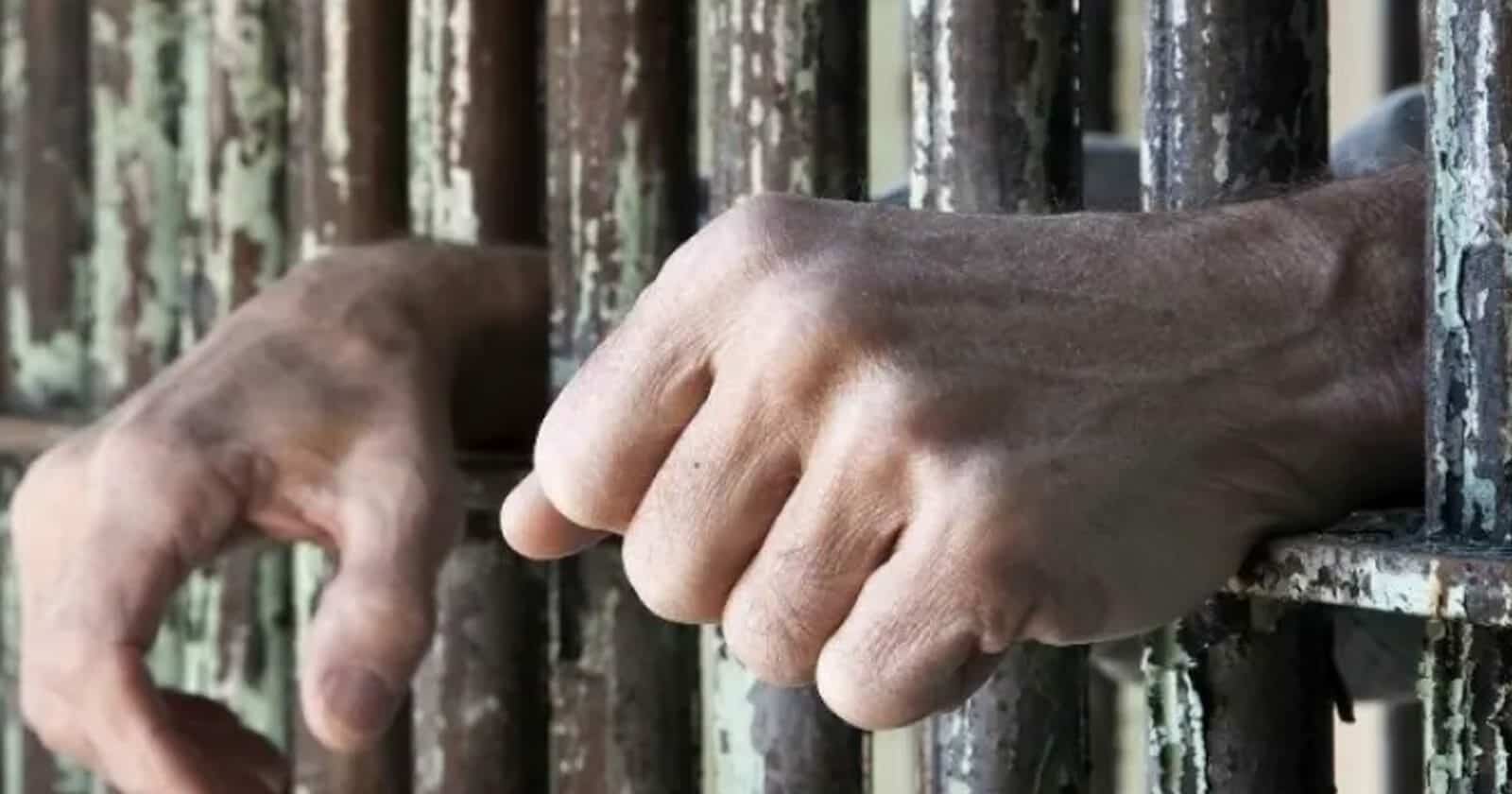 المعتقلين الإماراتيين watanserb.com