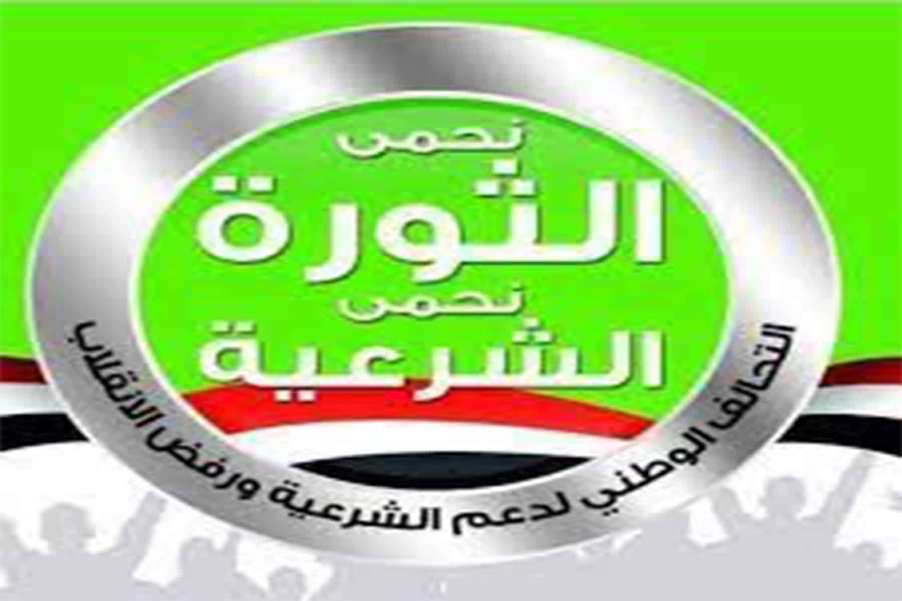 التحالف الوطني لدعم الشرعية watanserb.com