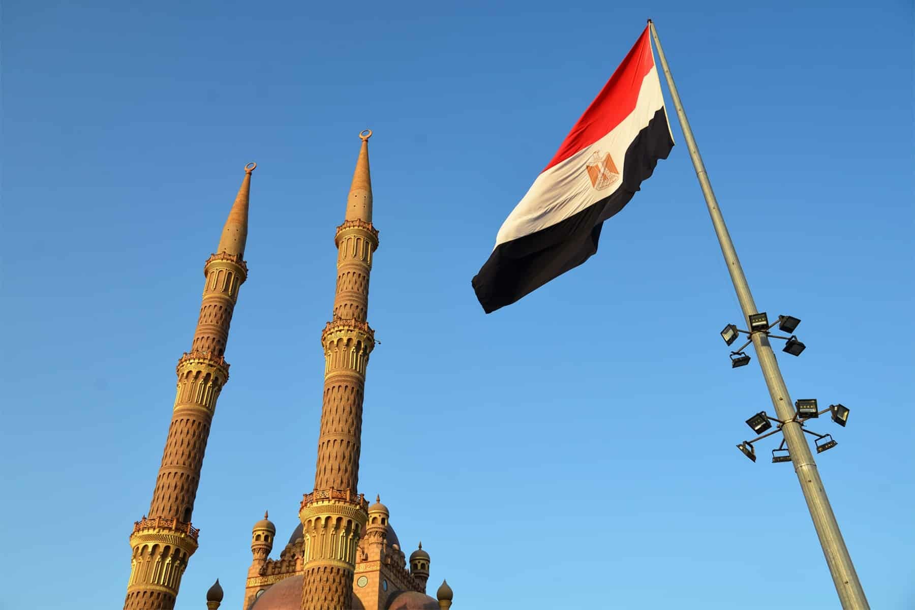 سلطة الانقلاب في مصر watanserb.com
