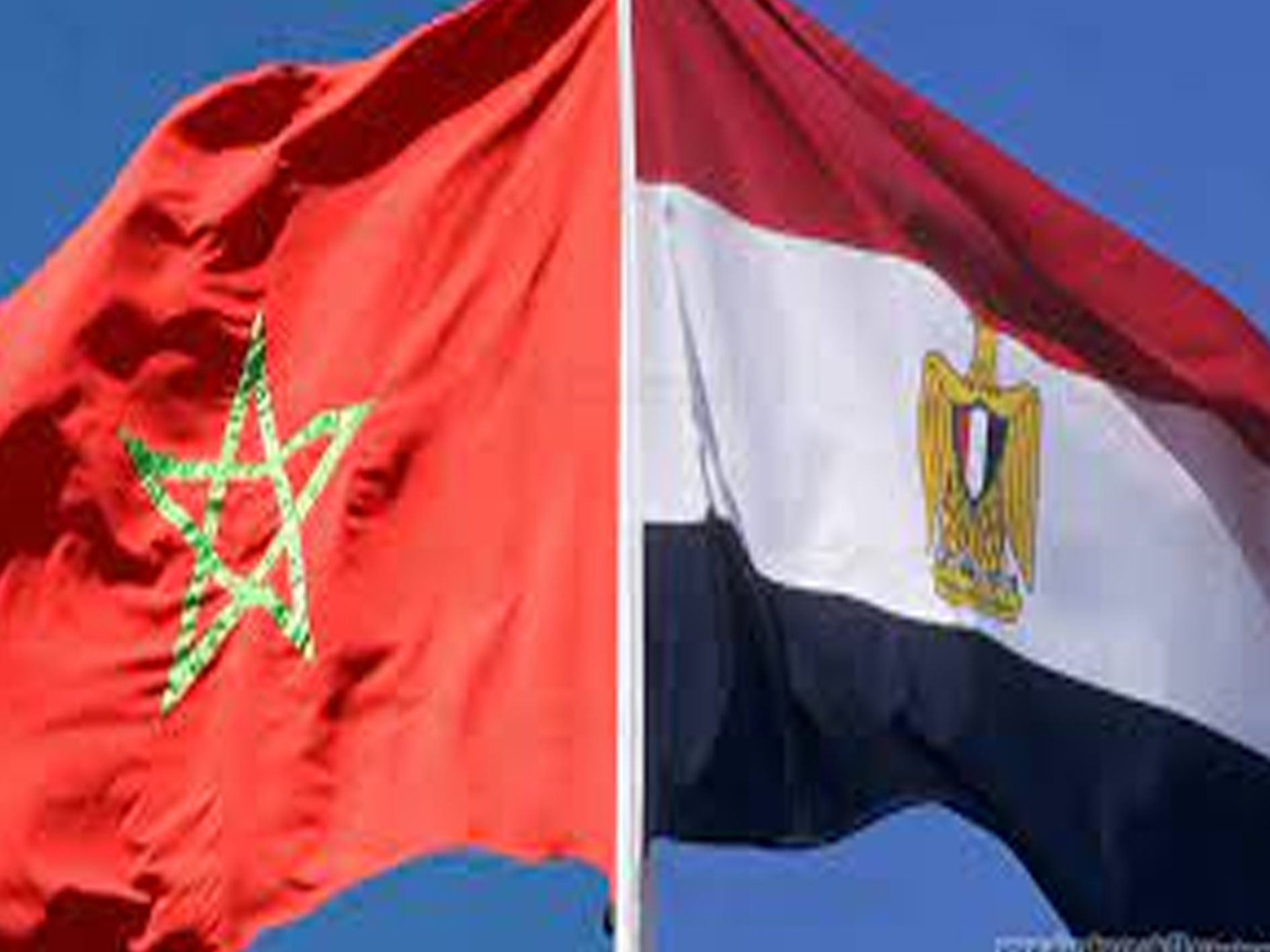 الأزمة بين مصر والمغرب watanserb.com
