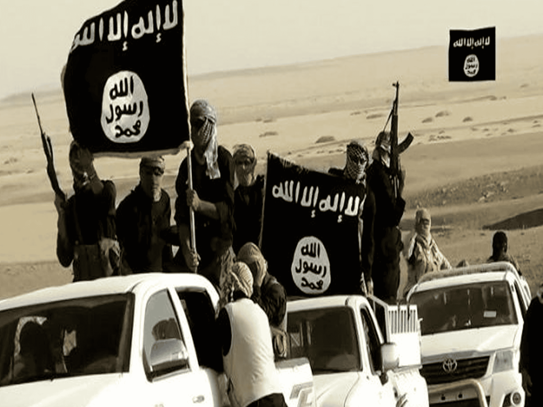 القضاء على داعش watanserb.com