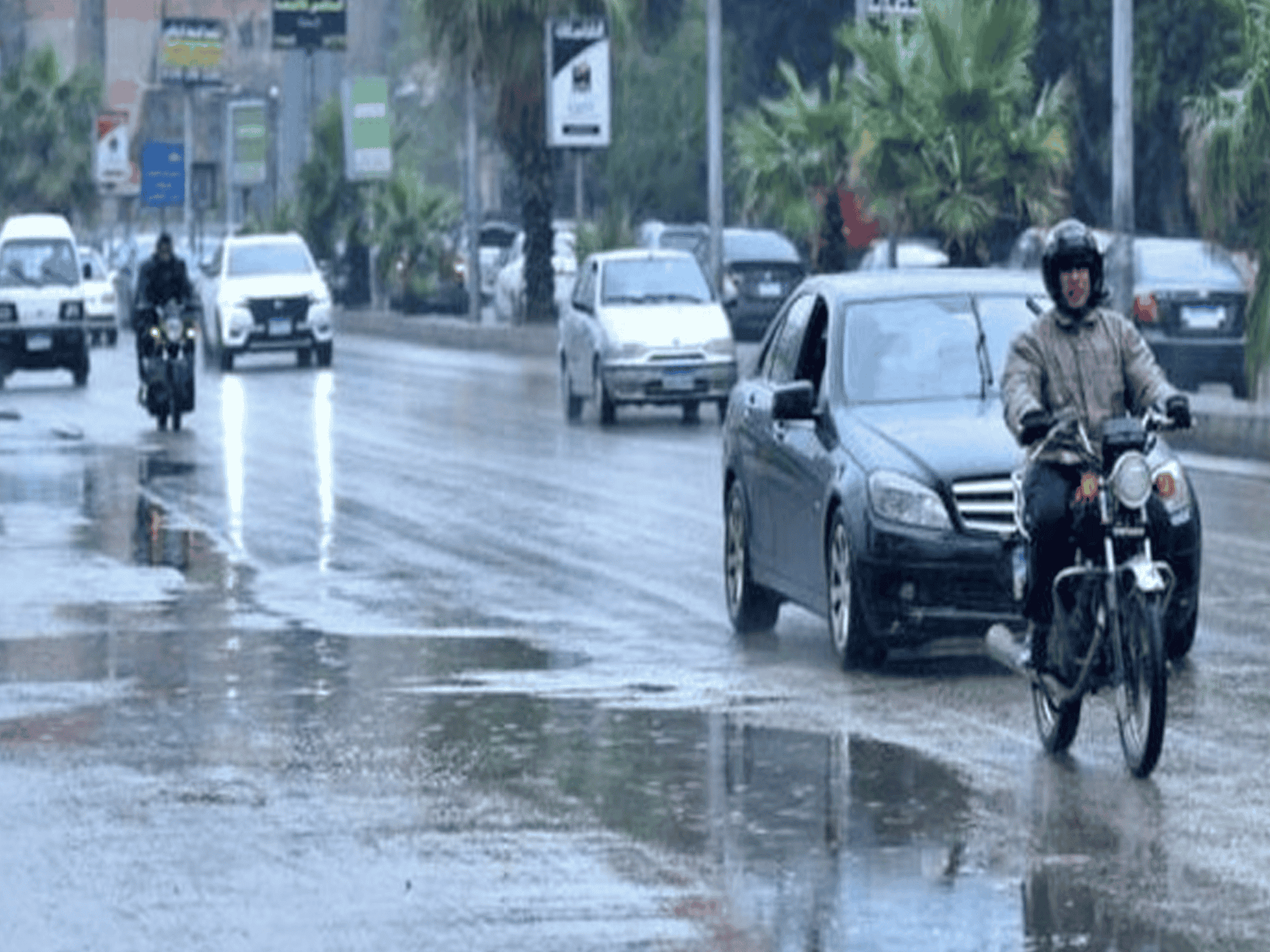 الأرصاد المصرية watanserb.com