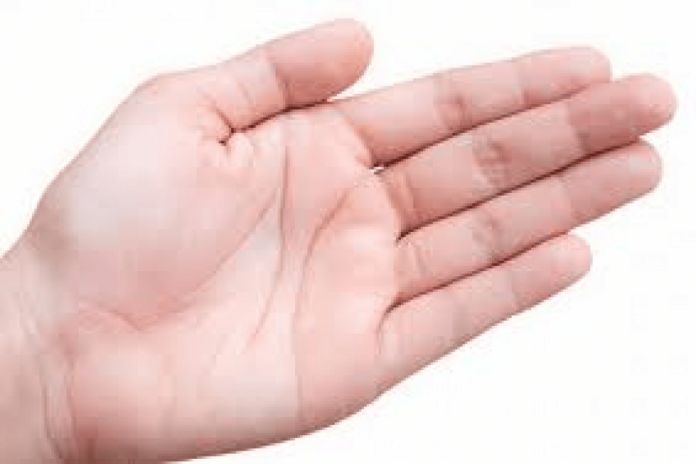 شكل أصابعك يحدد مستقبلك watanserb.com