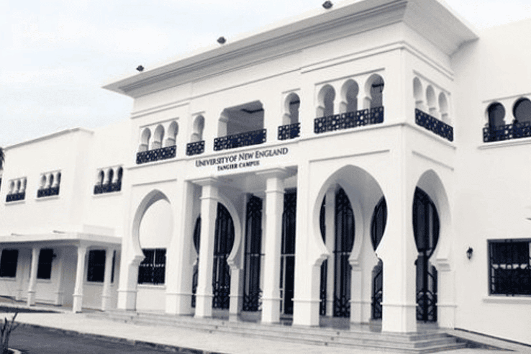 الزيتونة والولايات المتحدة watanserb.com