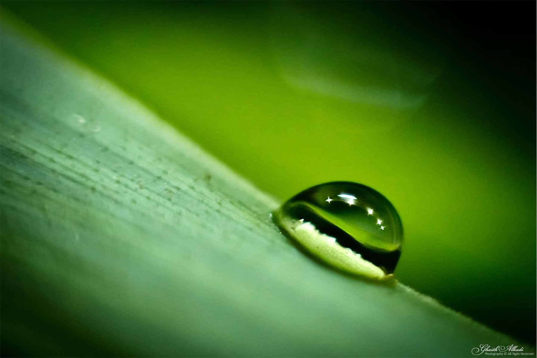 قطرة ندى watanserb.com