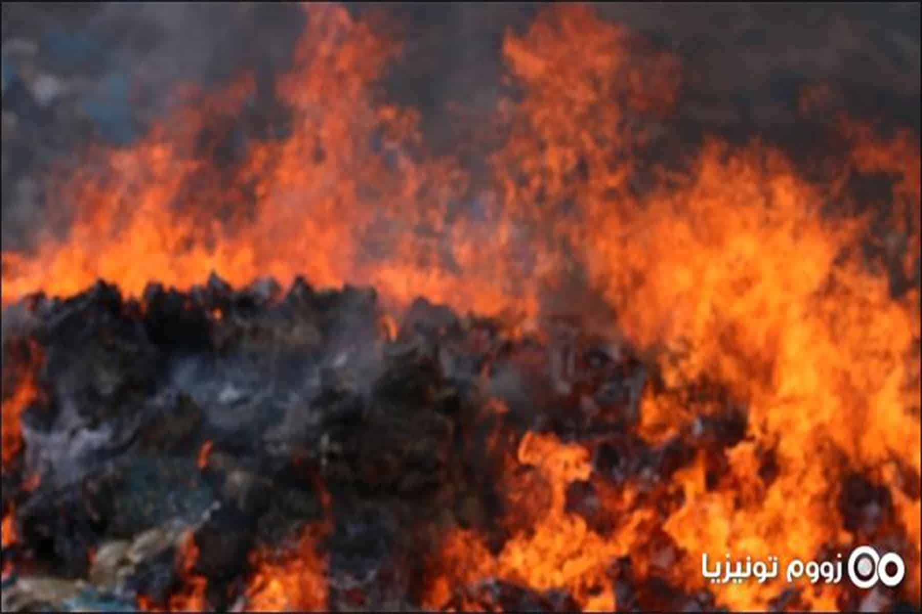 إعدام أطنان من الدجاج watanserb.com