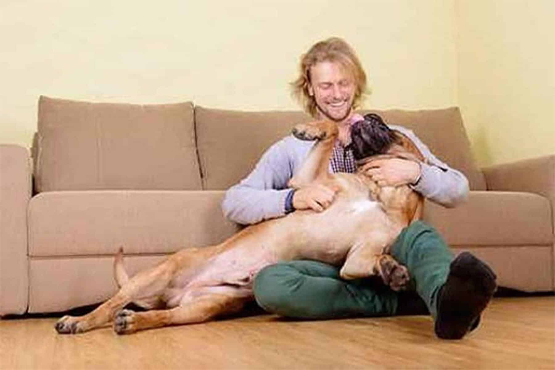 يمارس الجنس مع كلب watanserb.com