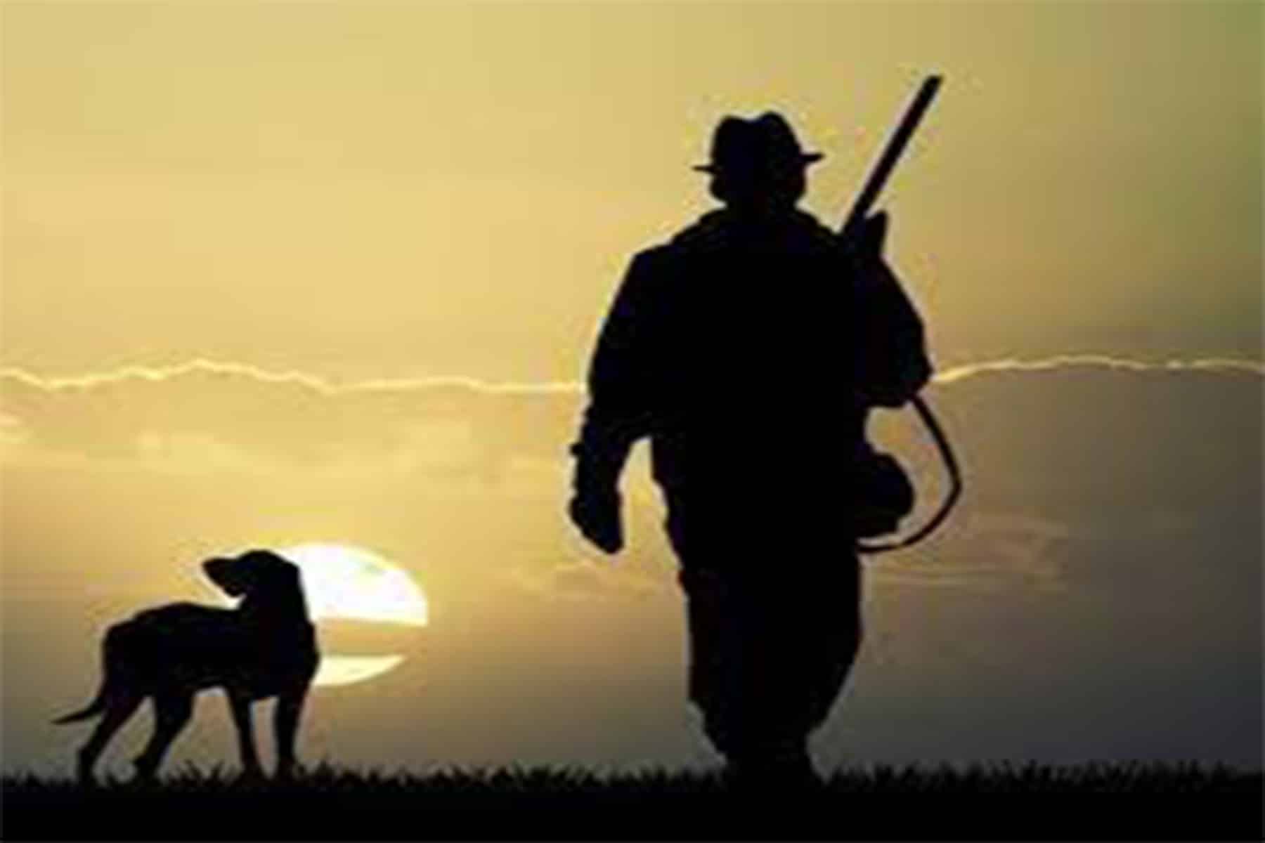 ماك إلروى أطلق رصاصة watanserb.com