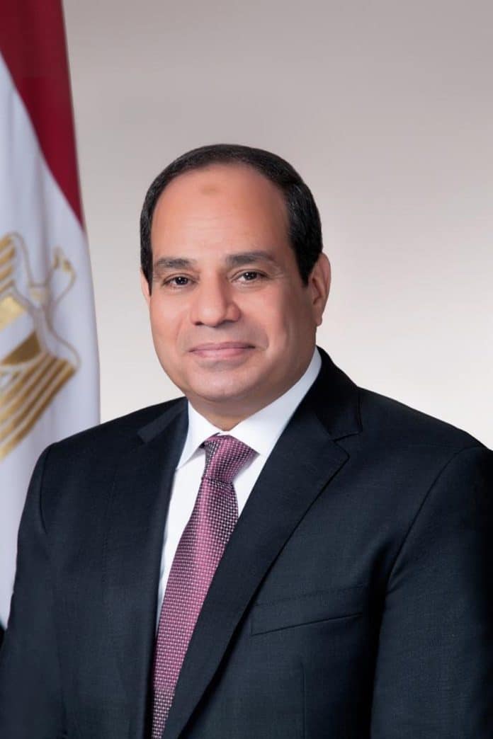 جهود الرئيس المصري في مصر watanserb.com