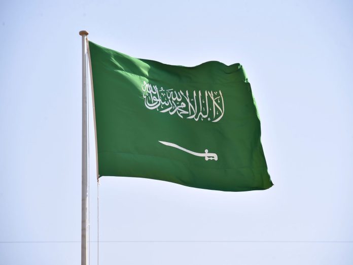 صحيفة تلعن الملك السعودي watanserb.com