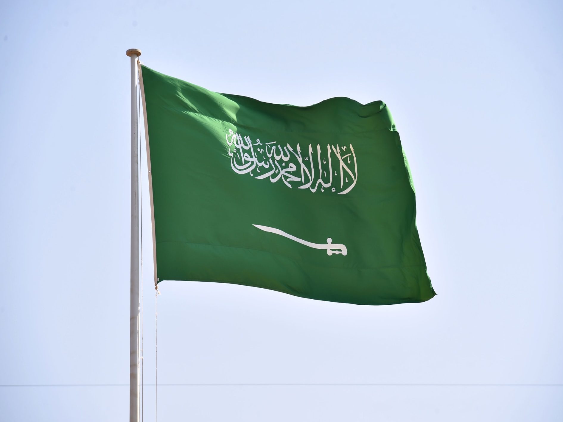 صحيفة تلعن الملك السعودي watanserb.com