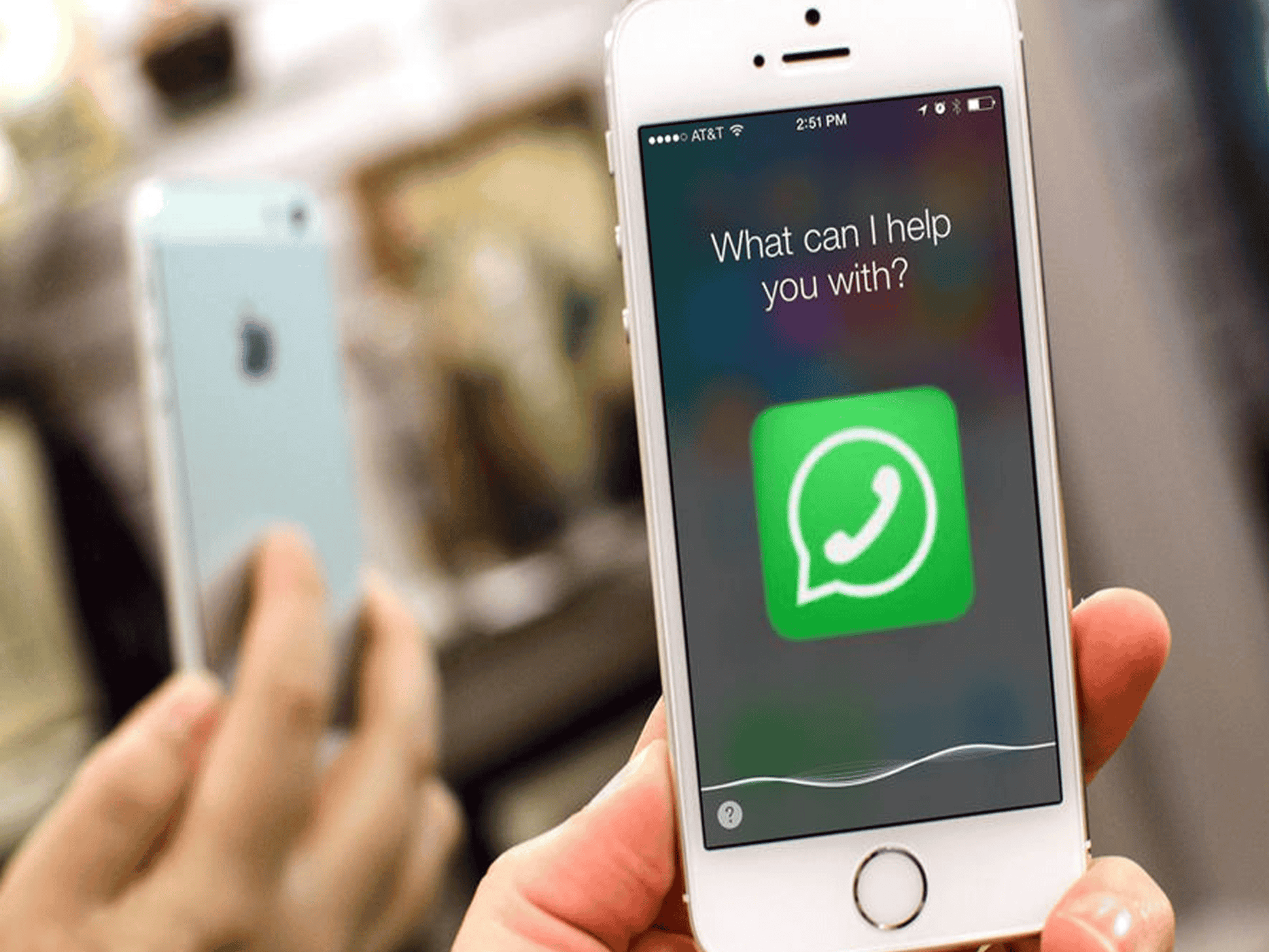 أدمن واتس آب watanserb.com