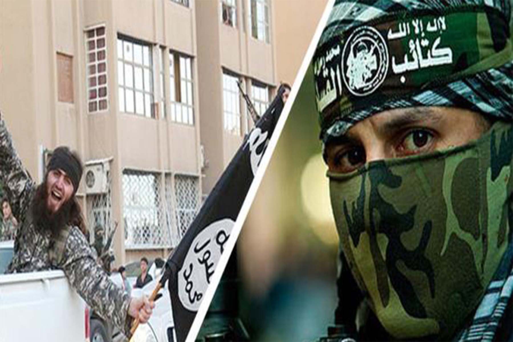 تعاون بين حماس وداعش في سيناء watanserb.com