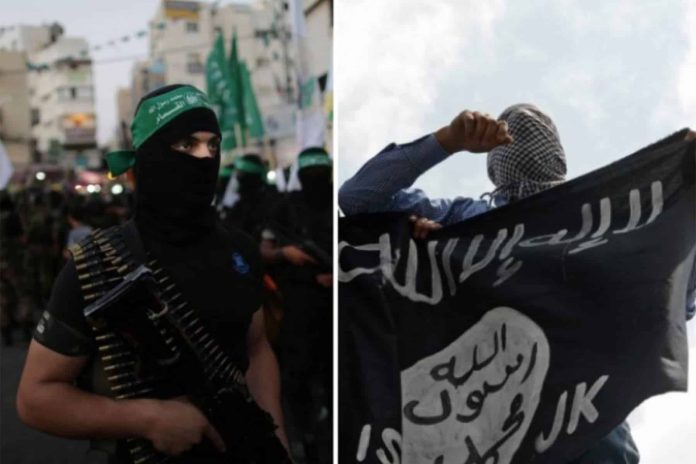 تمدد داعش في غزة watanserb.com