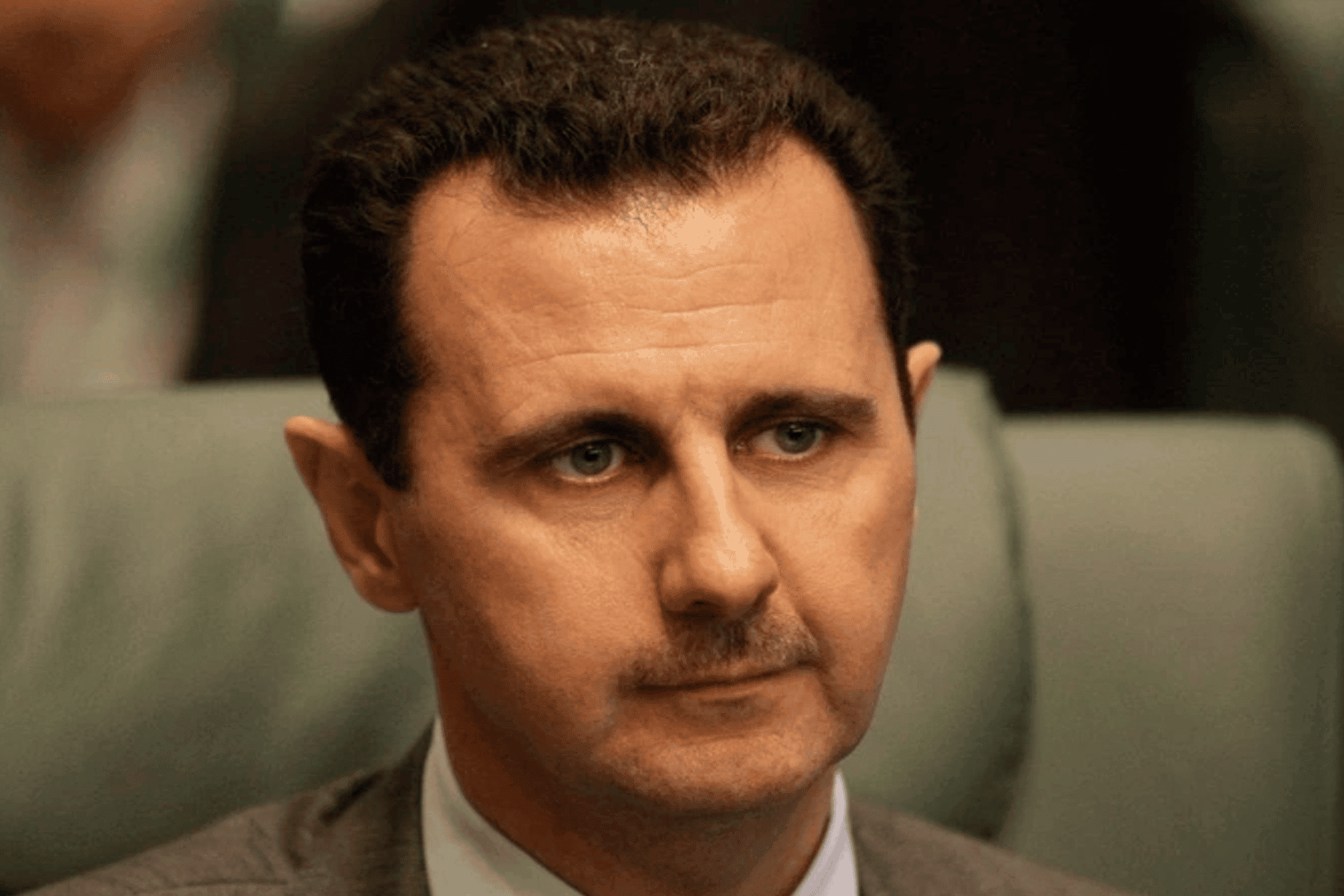 القصاص من ابن عم الأسد watanserb.com