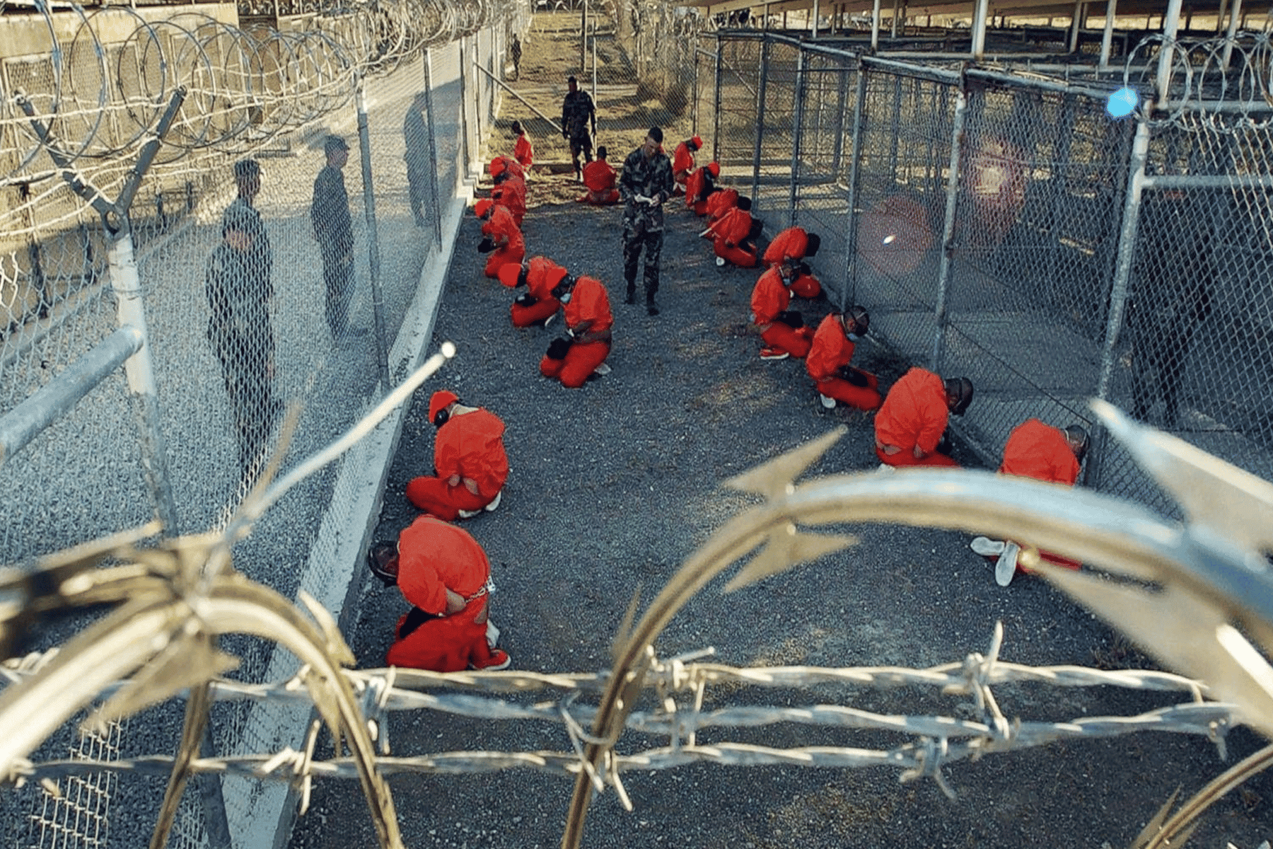 شاكر عامر watanserb.com