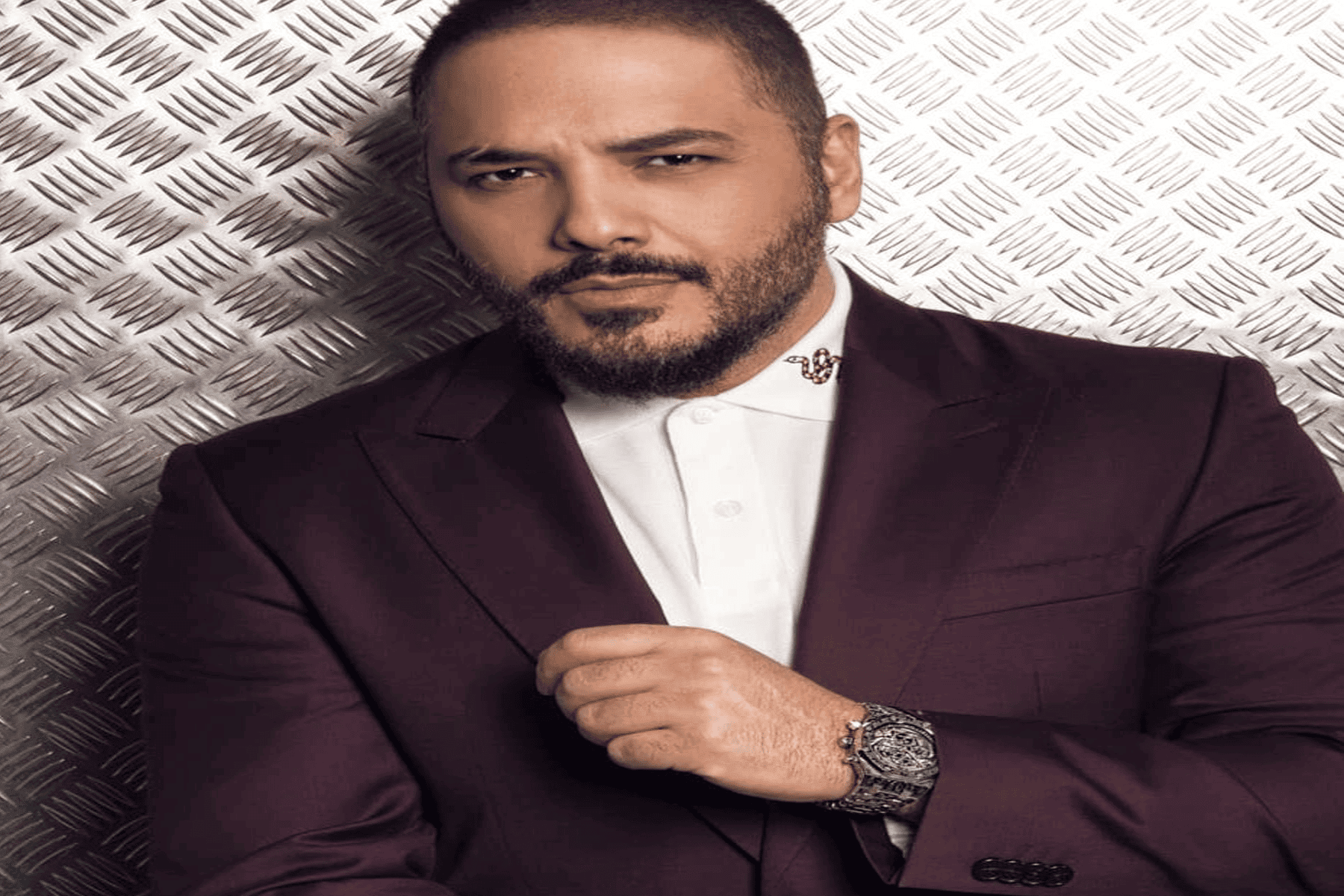زوجة رامي عيّاش watanserb.com