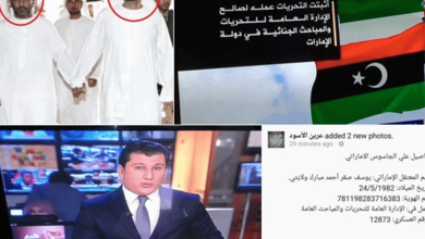 الإماراتي المتهم بالتجسس watanserb.com