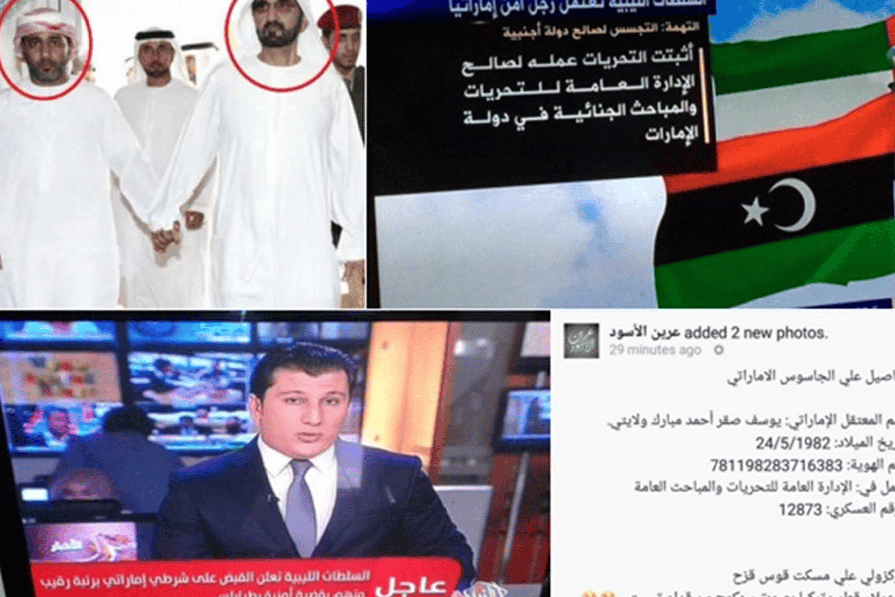 الإماراتي المتهم بالتجسس watanserb.com