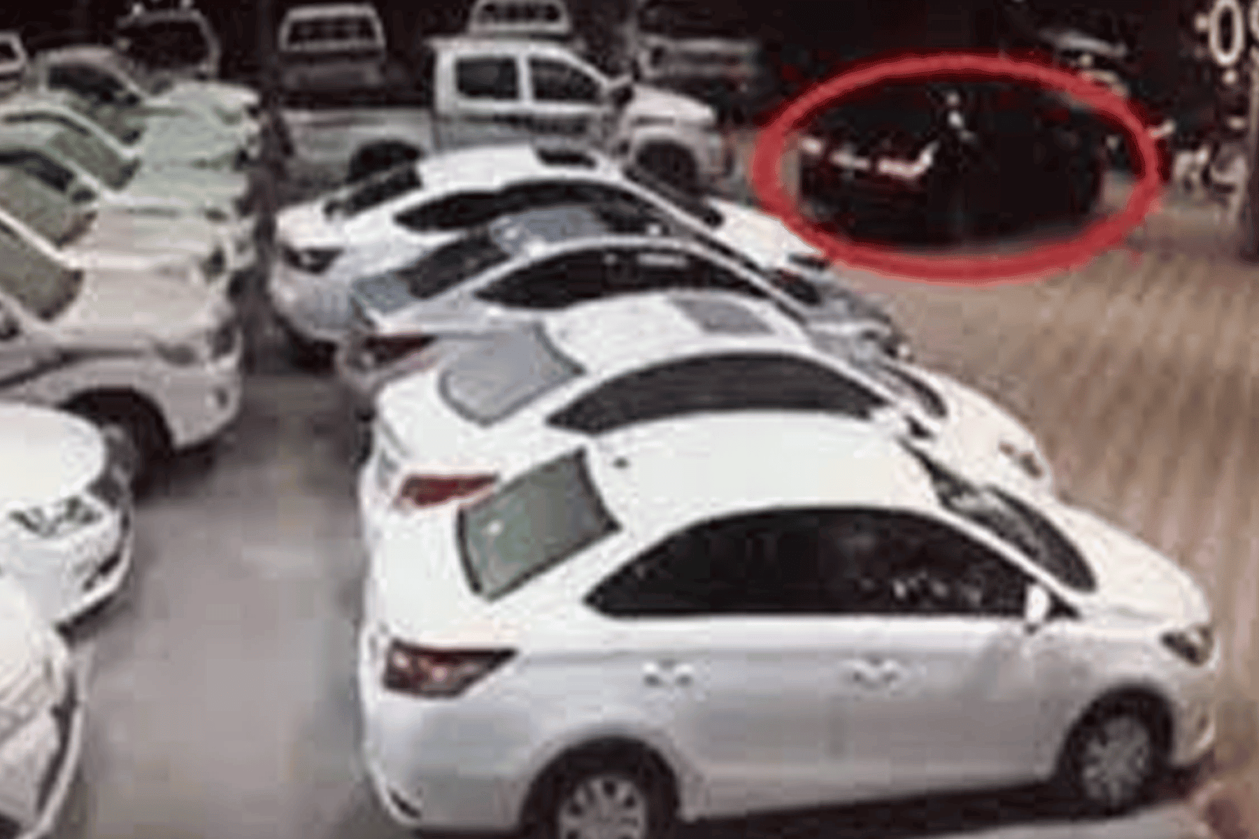 سرقة سيارة BMW watanserb.com