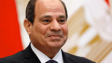 تعليق الرحلات الجوية الى مصر watanserb.com