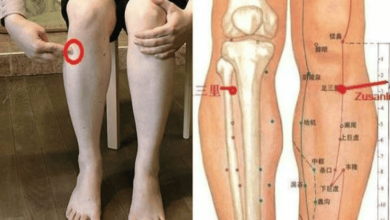 نقطة طول العمر watanserb.com