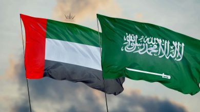 أكاديمي إماراتي يحذر السعودية watanserb.com