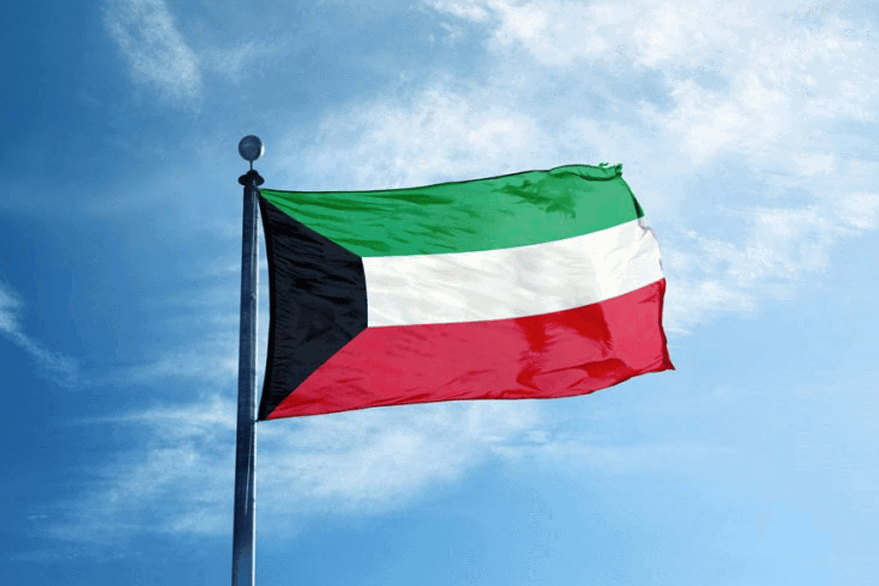 حظر الكويت لحوم البقر والجمال watanserb.com