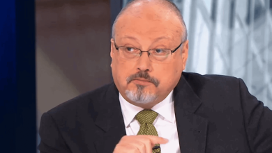 إساءة الإعلام المصري للمملكة watanserb.com