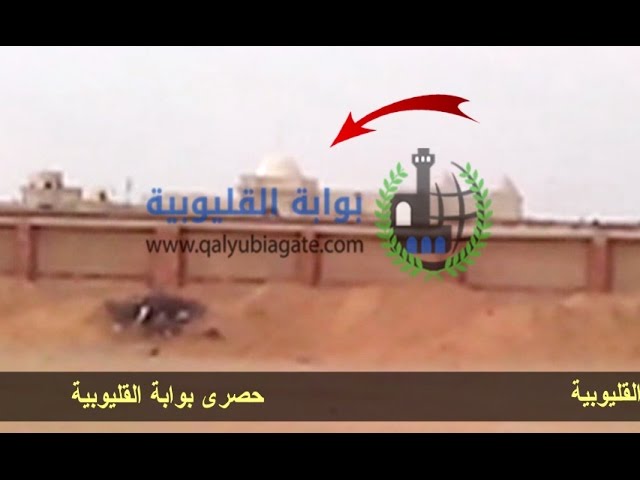السيسي يهدر مليارات "رز الخليج" على قصره الجديد