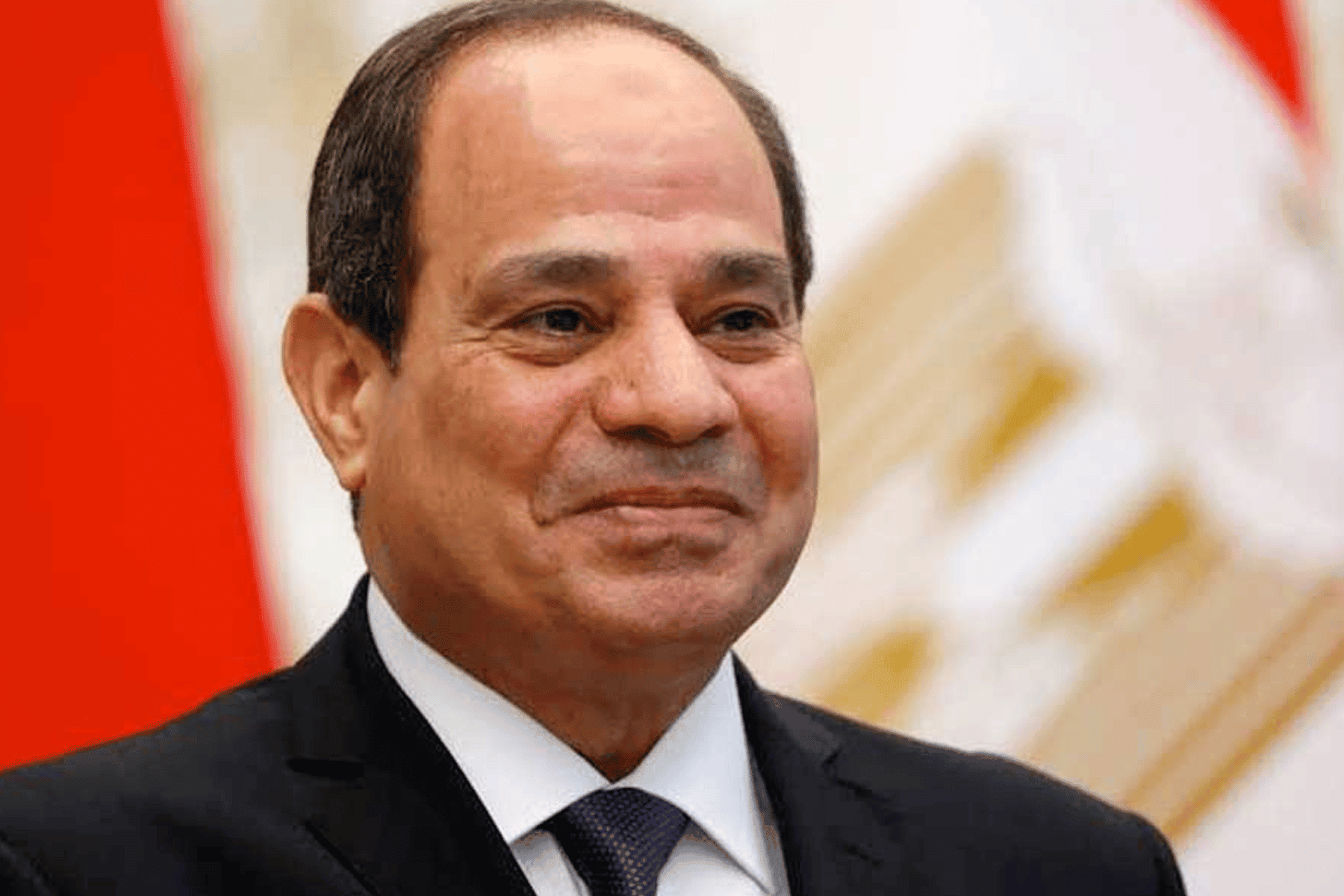 التعذيب بسجون السيسي watanserb.com