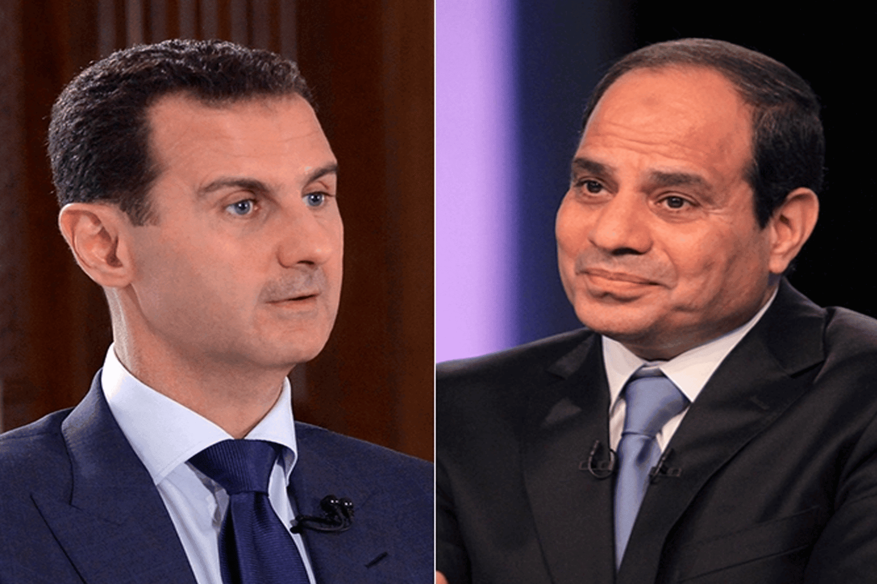 بشار والسيسي watanserb.com