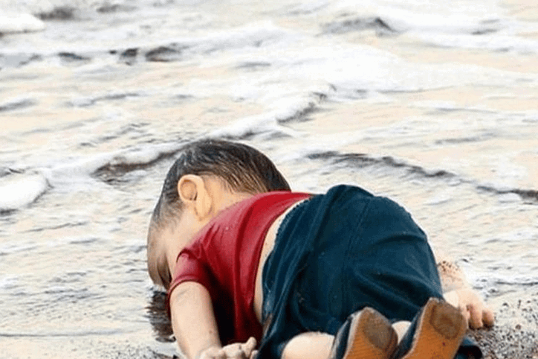 صورة الطفل السوري ايلان watanserb.com